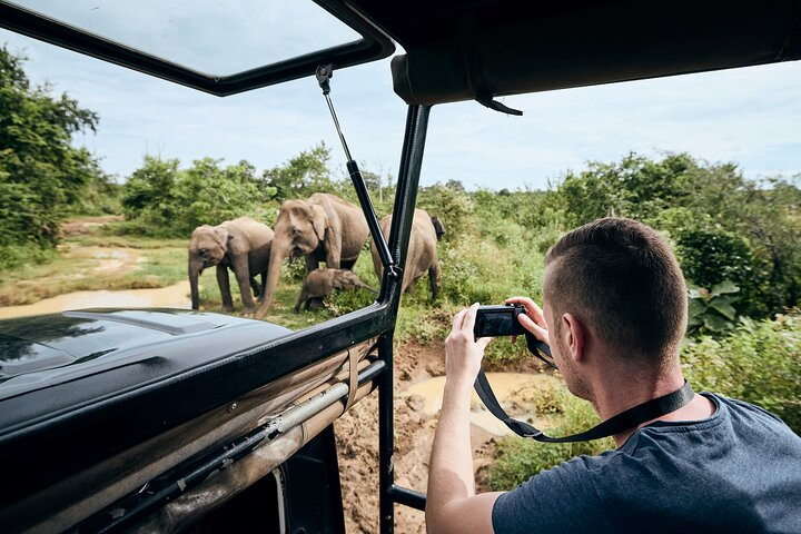 Yala National Park by Ajith Safari - Photo 1 of 21